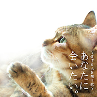 ���Ȃ��ɉ�����B